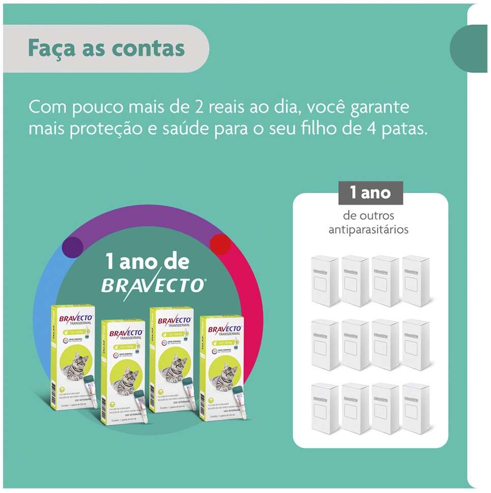 Antipulgas Bravecto Transdermal 112,5 mg para Gatos de 1,2 a 2,8Kg - 1 Pipeta