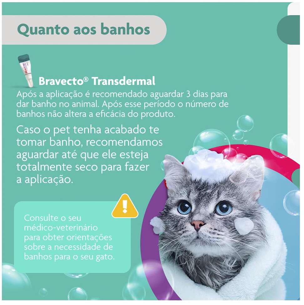 Antipulgas Bravecto Transdermal 112,5 mg para Gatos de 1,2 a 2,8Kg - 1 Pipeta