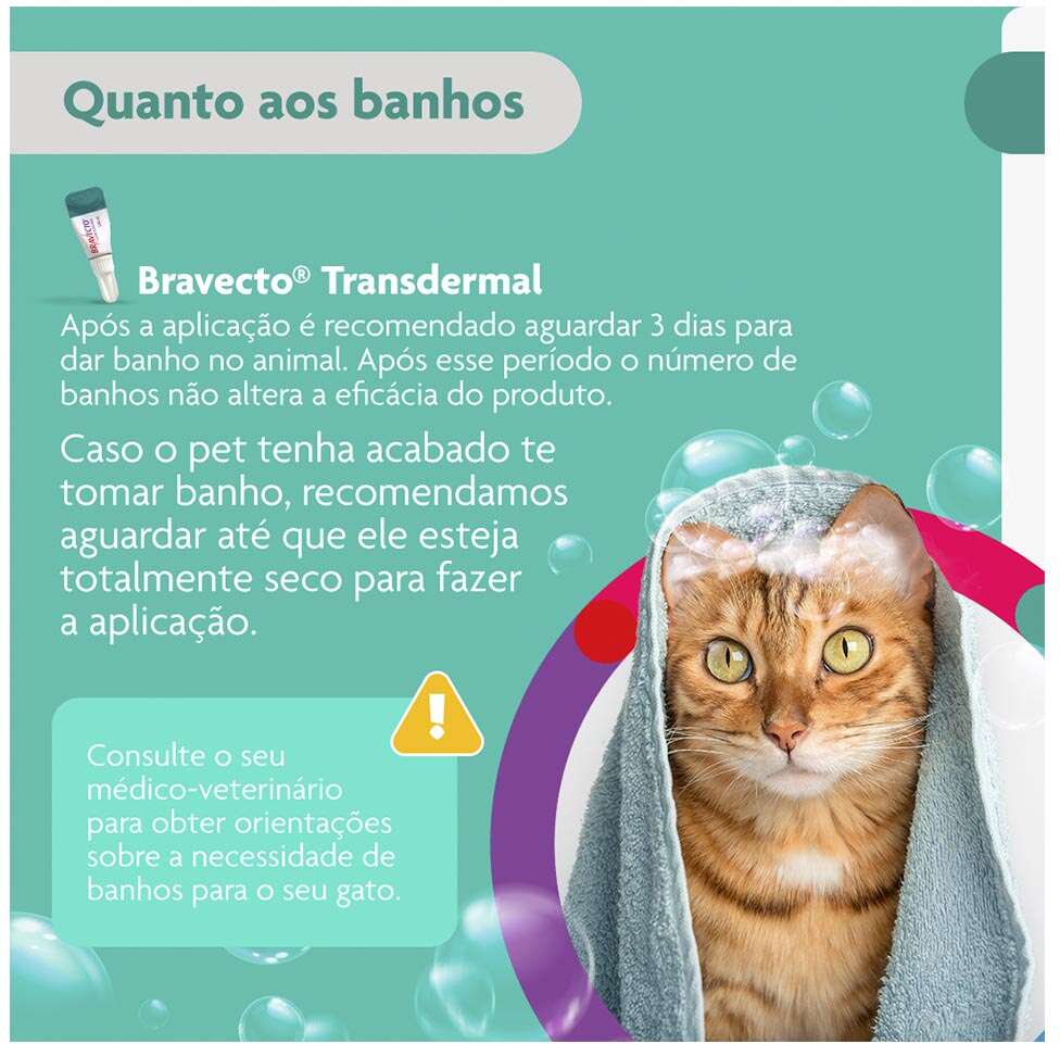 Antipulgas Bravecto Transdermal 250 mg para Gatos de 2,8 a 6,25Kg - 1 Pipeta