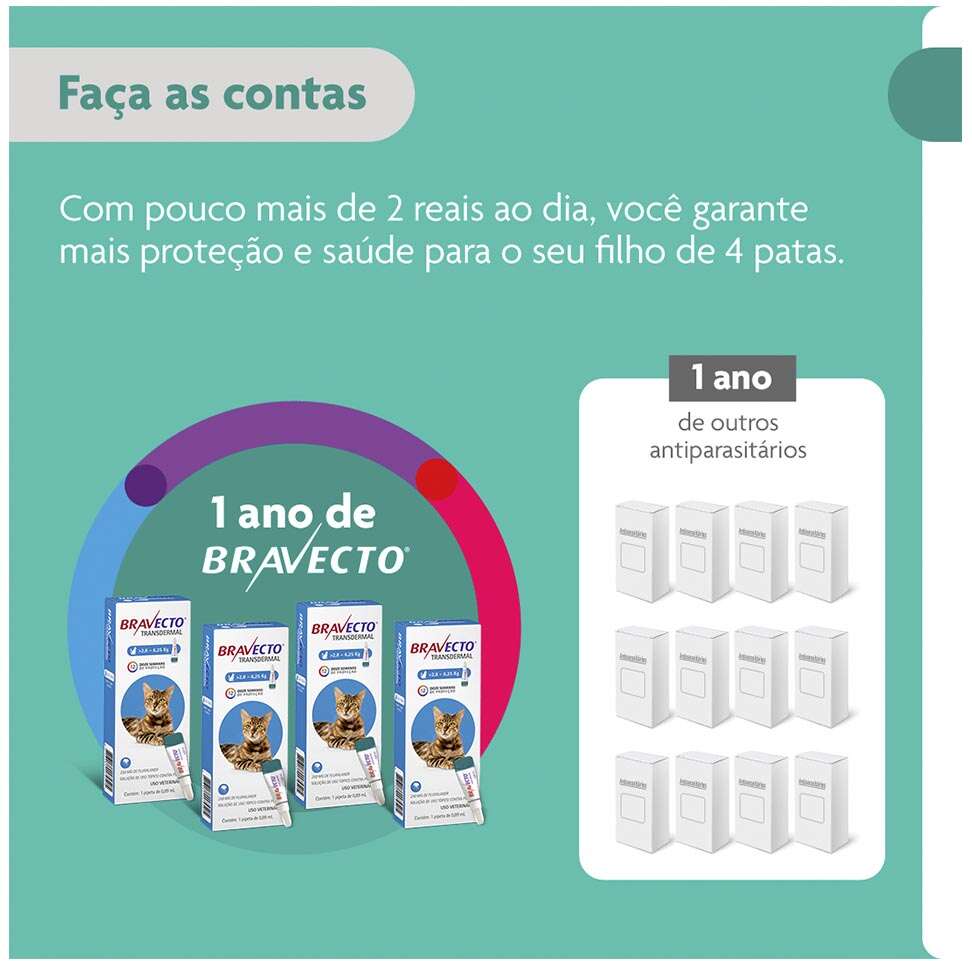 Antipulgas Bravecto Transdermal 250 mg para Gatos de 2,8 a 6,25Kg - 1 Pipeta