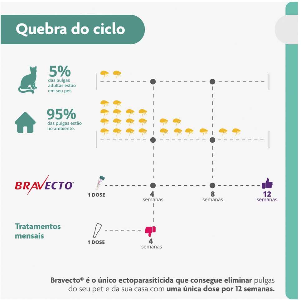 Antipulgas Bravecto Transdermal 250 mg para Gatos de 2,8 a 6,25Kg - 1 Pipeta