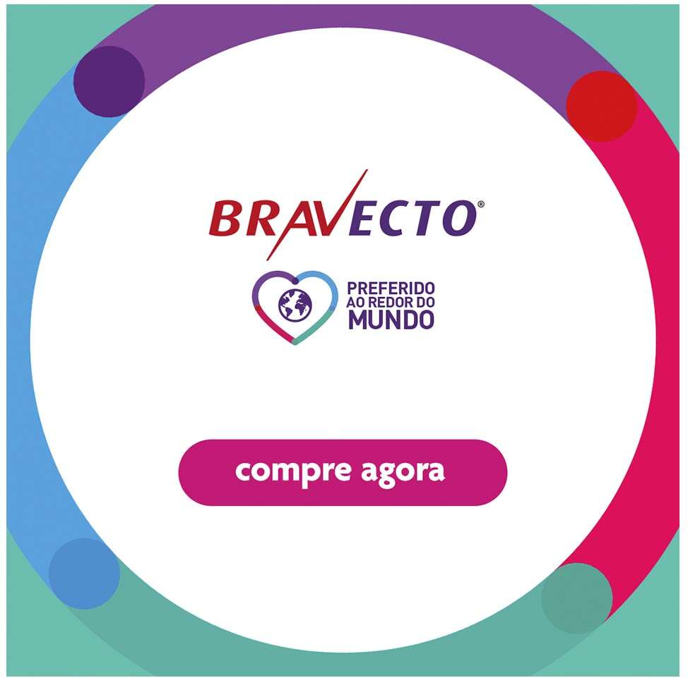 Antipulgas Bravecto Transdermal 250 mg para Gatos de 2,8 a 6,25Kg - 1 Pipeta