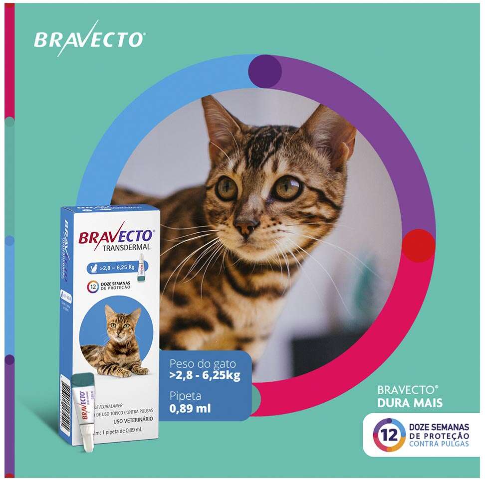Antipulgas Bravecto Transdermal 250 mg para Gatos de 2,8 a 6,25Kg - 1 Pipeta