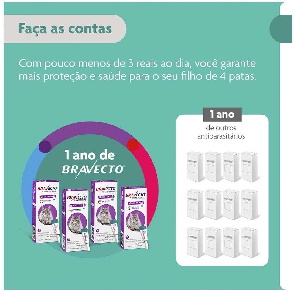 Antipulgas Bravecto Transdermal 500 mg para Gatos de 6,25 a 12,5Kg - 1 Pipeta