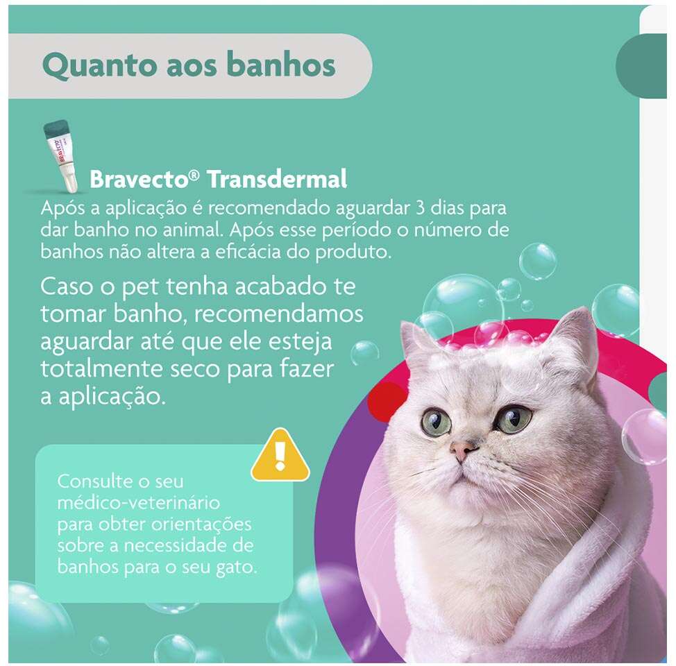 Antipulgas Bravecto Transdermal 500 mg para Gatos de 6,25 a 12,5Kg - 1 Pipeta
