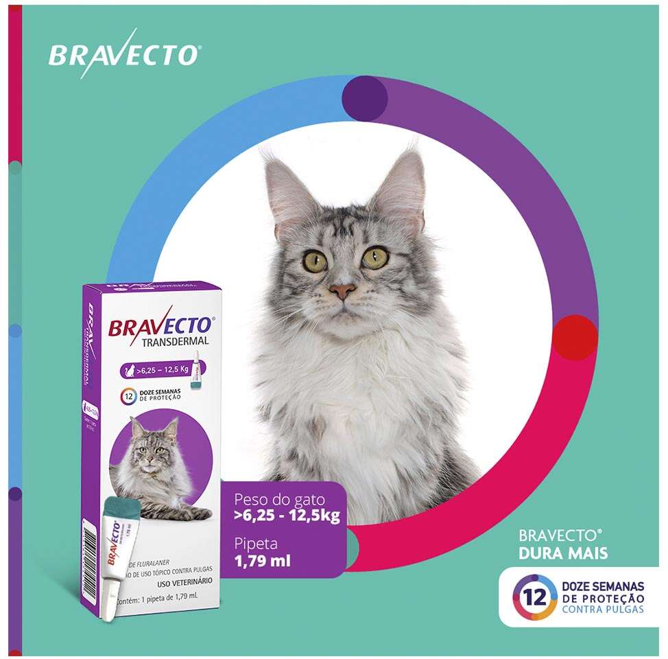 Antipulgas Bravecto Transdermal 500 mg para Gatos de 6,25 a 12,5Kg - 1 Pipeta