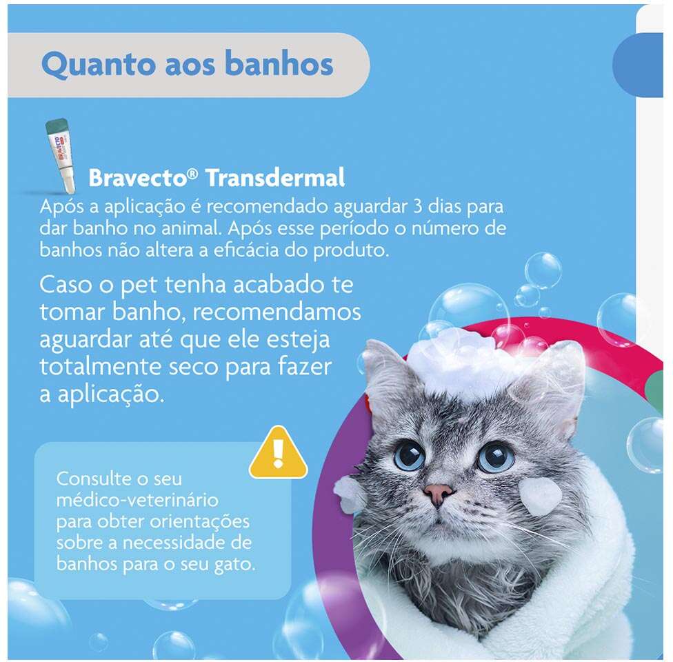 Antipulgas Bravecto Transdermal Plus 112,5 mg para Gatos de 1,2 a 2,8Kg - 1 Pipeta