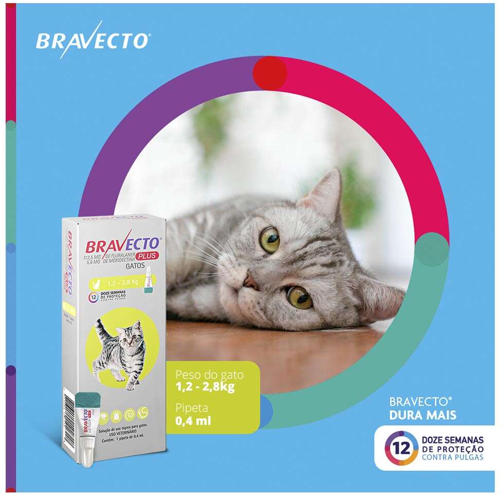 Antipulgas Bravecto Transdermal Plus 112,5 mg para Gatos de 1,2 a 2,8Kg - 1 Pipeta