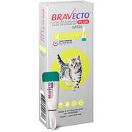 Antipulgas Bravecto Transdermal Plus para Gatos de 1,2 a 2,8Kg - 1 Pipeta