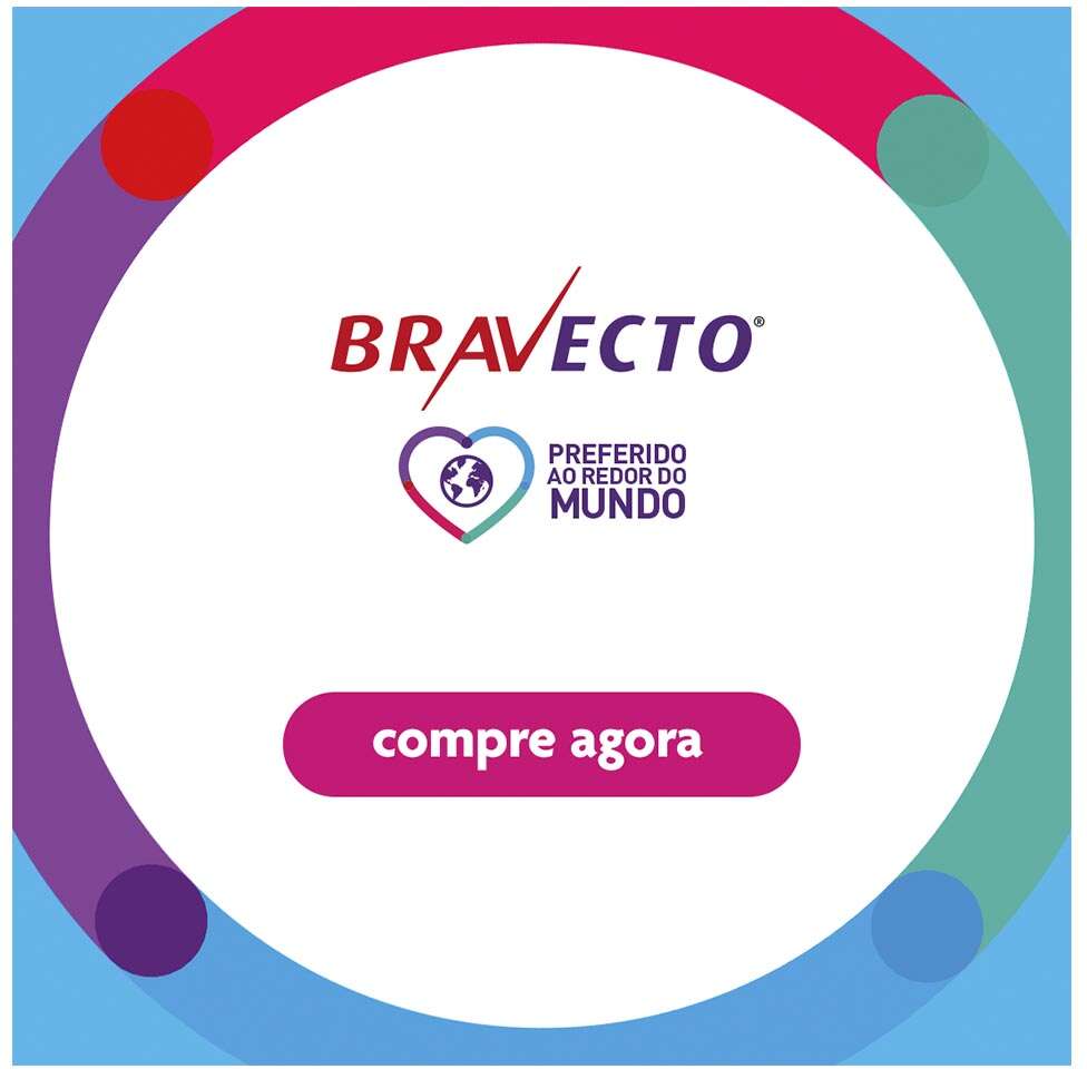 Antipulgas Bravecto Transdermal Plus 112,5 mg para Gatos de 1,2 a 2,8Kg - 1 Pipeta