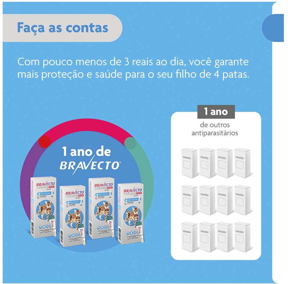 Antipulgas Bravecto Transdermal Plus 280 mg para Gatos de 2,8 a 6,25Kg - 1 Pipeta