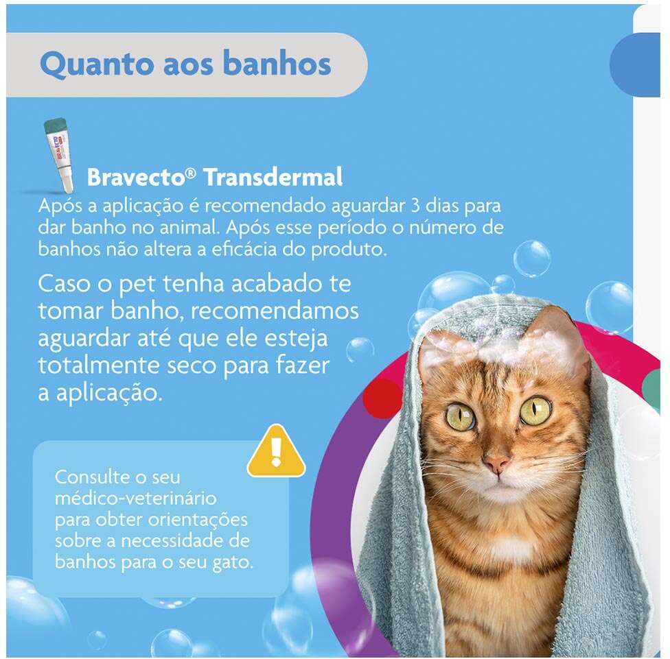 Antipulgas Bravecto Transdermal Plus 280 mg para Gatos de 2,8 a 6,25Kg - 1 Pipeta