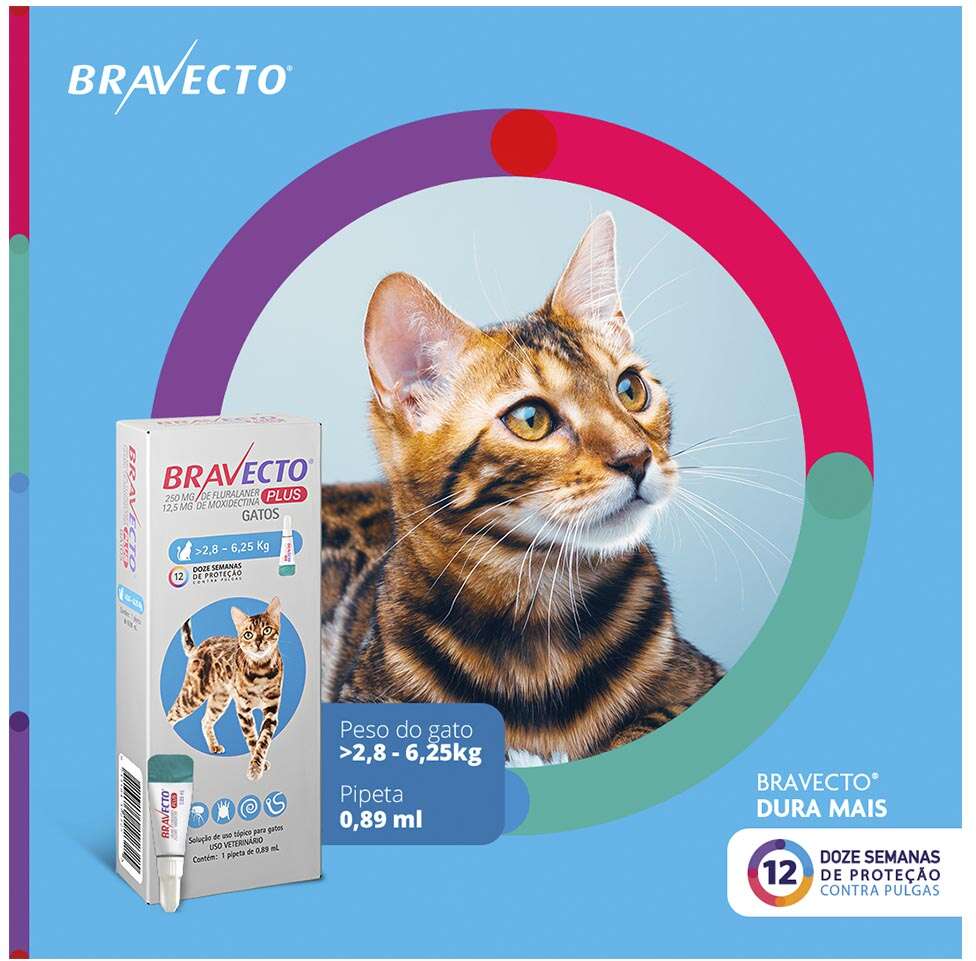 Antipulgas Bravecto Transdermal Plus 280 mg para Gatos de 2,8 a 6,25Kg - 1 Pipeta