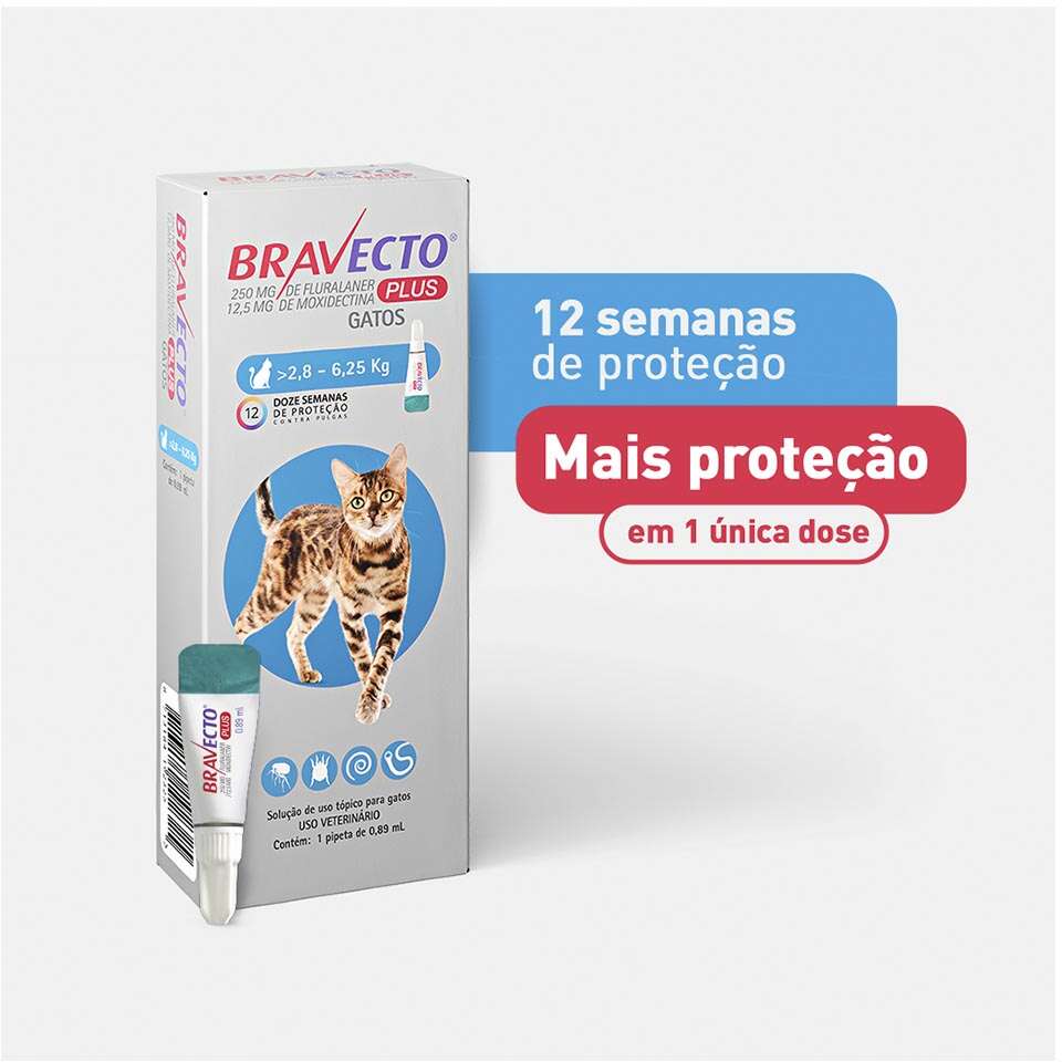 Antipulgas Bravecto Transdermal Plus 280 mg para Gatos de 2,8 a 6,25Kg - 1 Pipeta