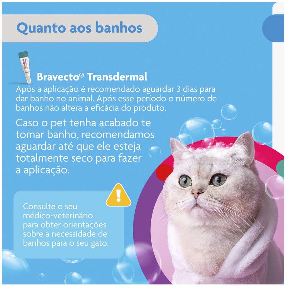 Antipulgas Bravecto Transdermal Plus 280 mg para Gatos de 6,25 a 12,5Kg - 1 Pipeta