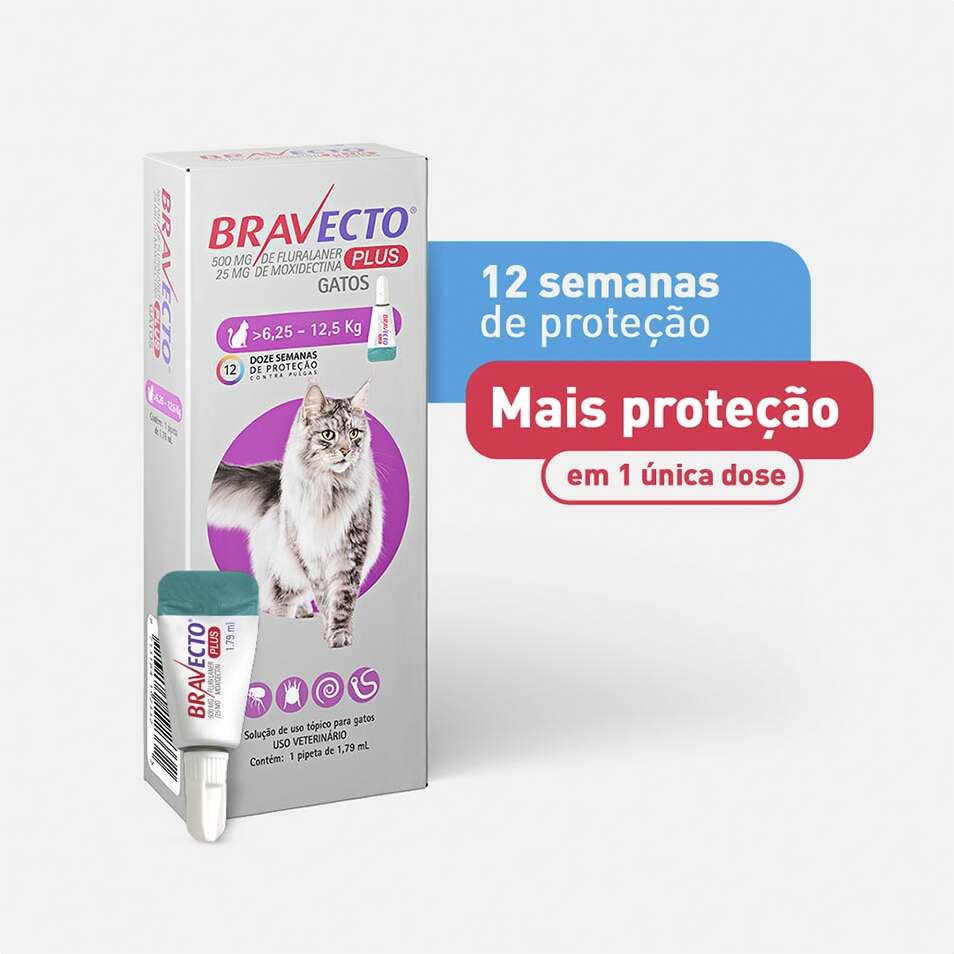 Antipulgas Bravecto Transdermal Plus 280 mg para Gatos de 6,25 a 12,5Kg - 1 Pipeta
