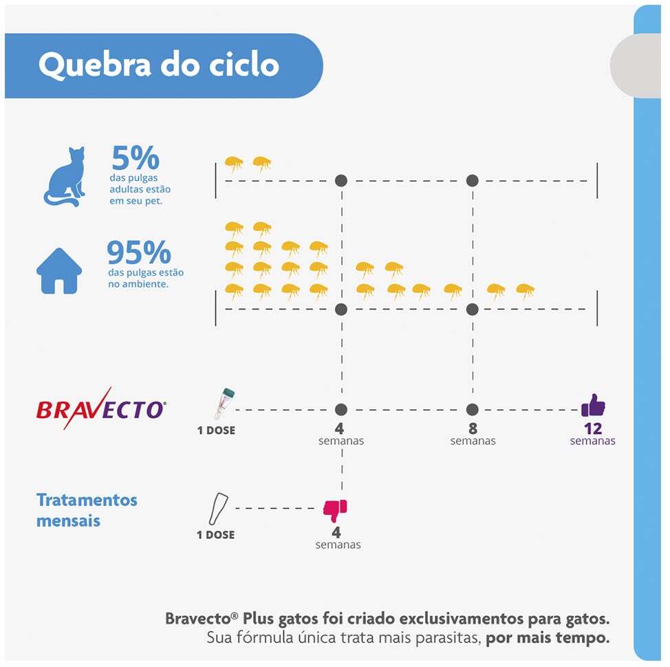 Antipulgas Bravecto Transdermal Plus 280 mg para Gatos de 6,25 a 12,5Kg - 1 Pipeta
