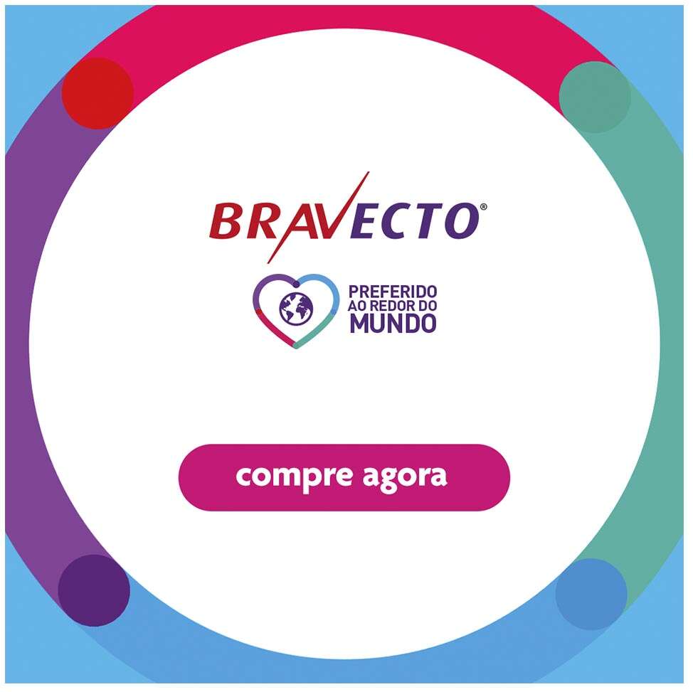 Antipulgas Bravecto Transdermal Plus 280 mg para Gatos de 6,25 a 12,5Kg - 1 Pipeta