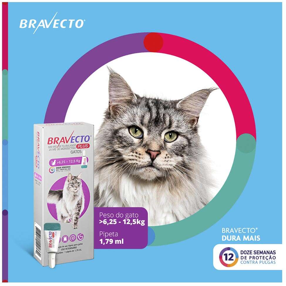 Antipulgas Bravecto Transdermal Plus 280 mg para Gatos de 6,25 a 12,5Kg - 1 Pipeta