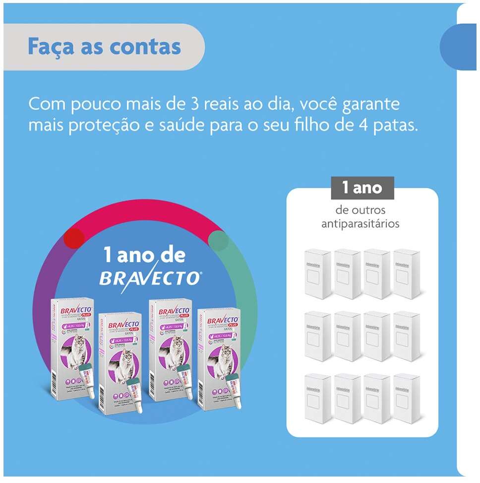 Antipulgas Bravecto Transdermal Plus 280 mg para Gatos de 6,25 a 12,5Kg - 1 Pipeta