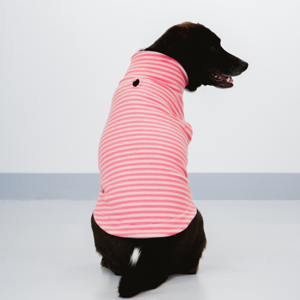Suéter Pacco Puppy Fauna Retrô Rosa para Cães - Tam. EXG