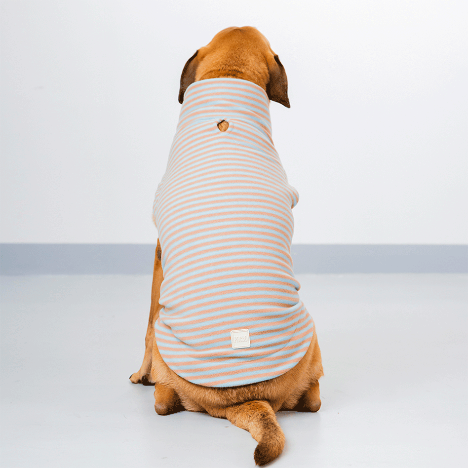 Suéter Pacco Puppy Retro Listrado Azul e Marrom para Cães - Tam. EXG