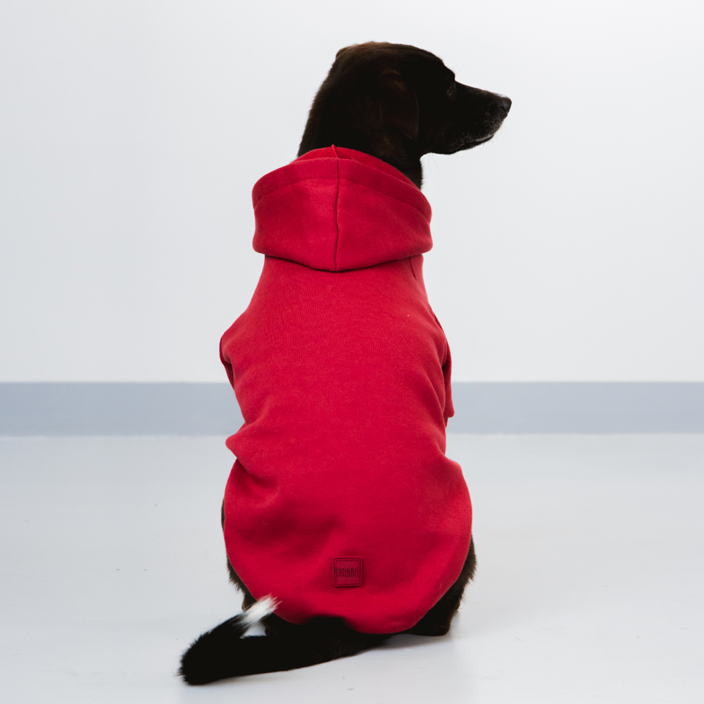 Moletom Pacco Puppy Vermelha para Cães - Tam. EXG