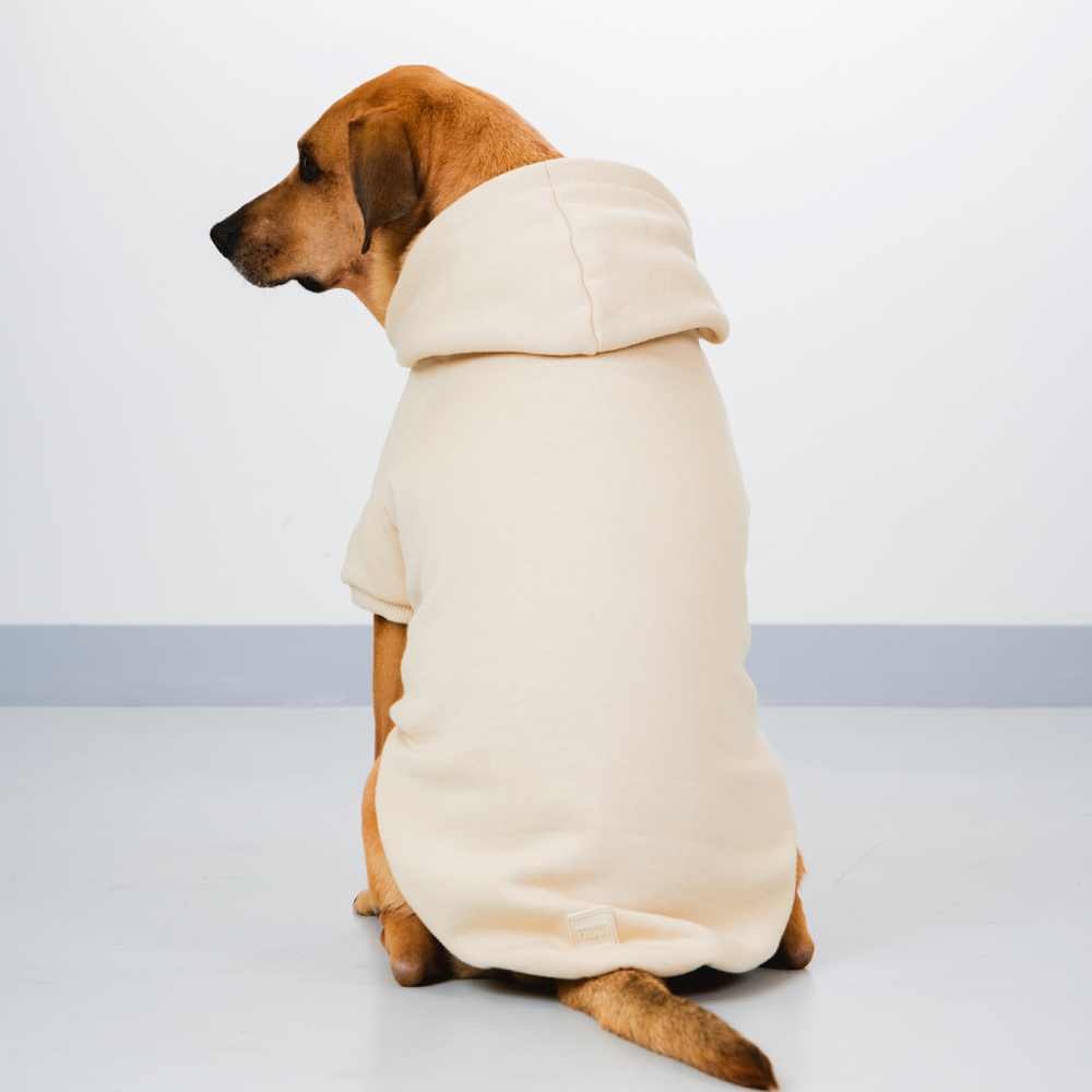 Moletom Pacco Puppy Caju para Cães - Tam. EXG