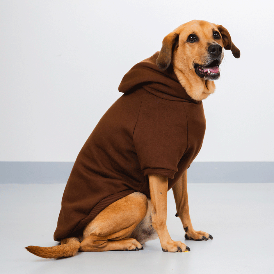 Moletom Pacco Puppy Marrom para Cães - Tam. EXG