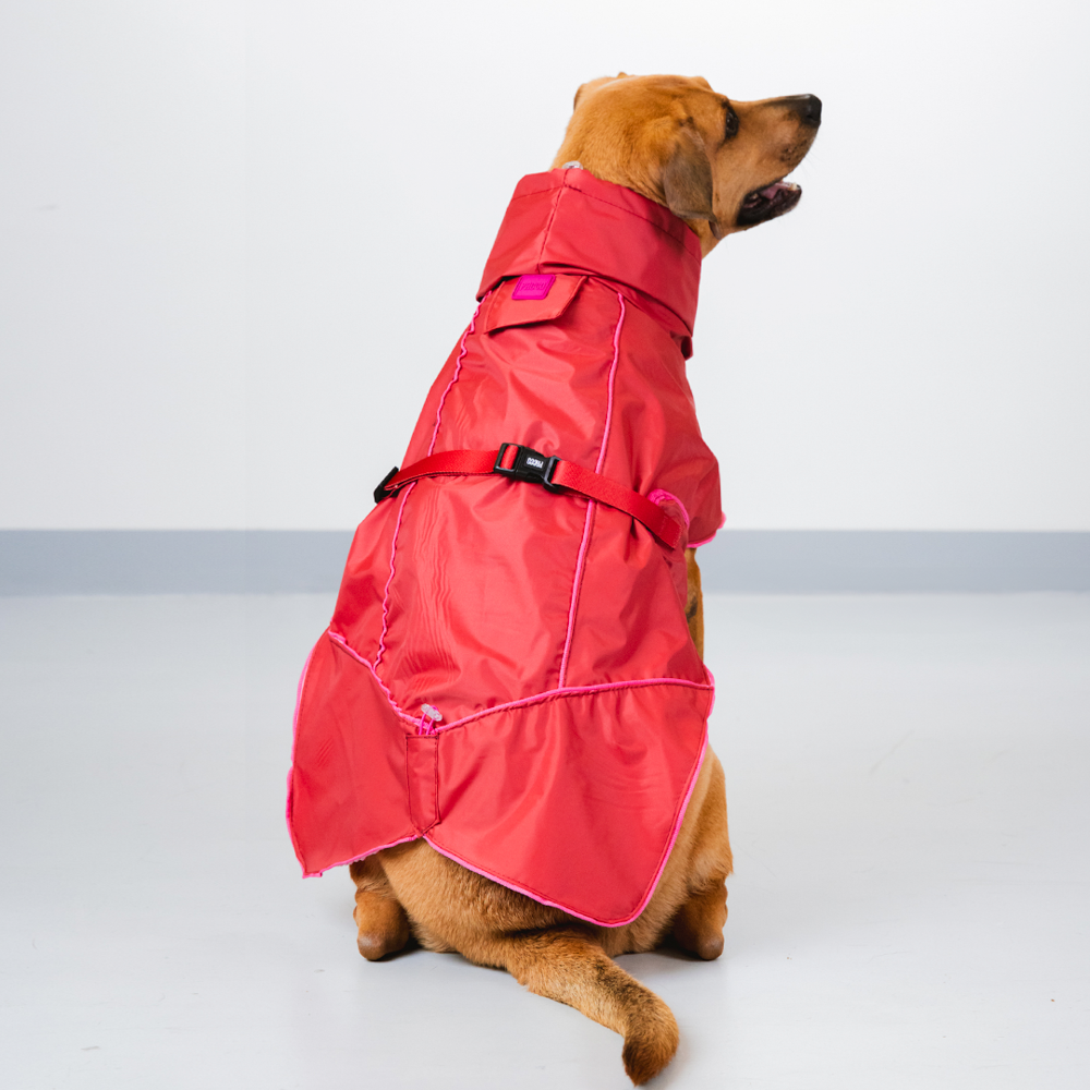 Capa de Chuva Pacco Puppy Aqua Paprika para Cães - Tam. EXG