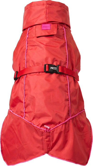 Capa de Chuva Pacco Puppy Aqua Paprika para Cães - Tam. EXG