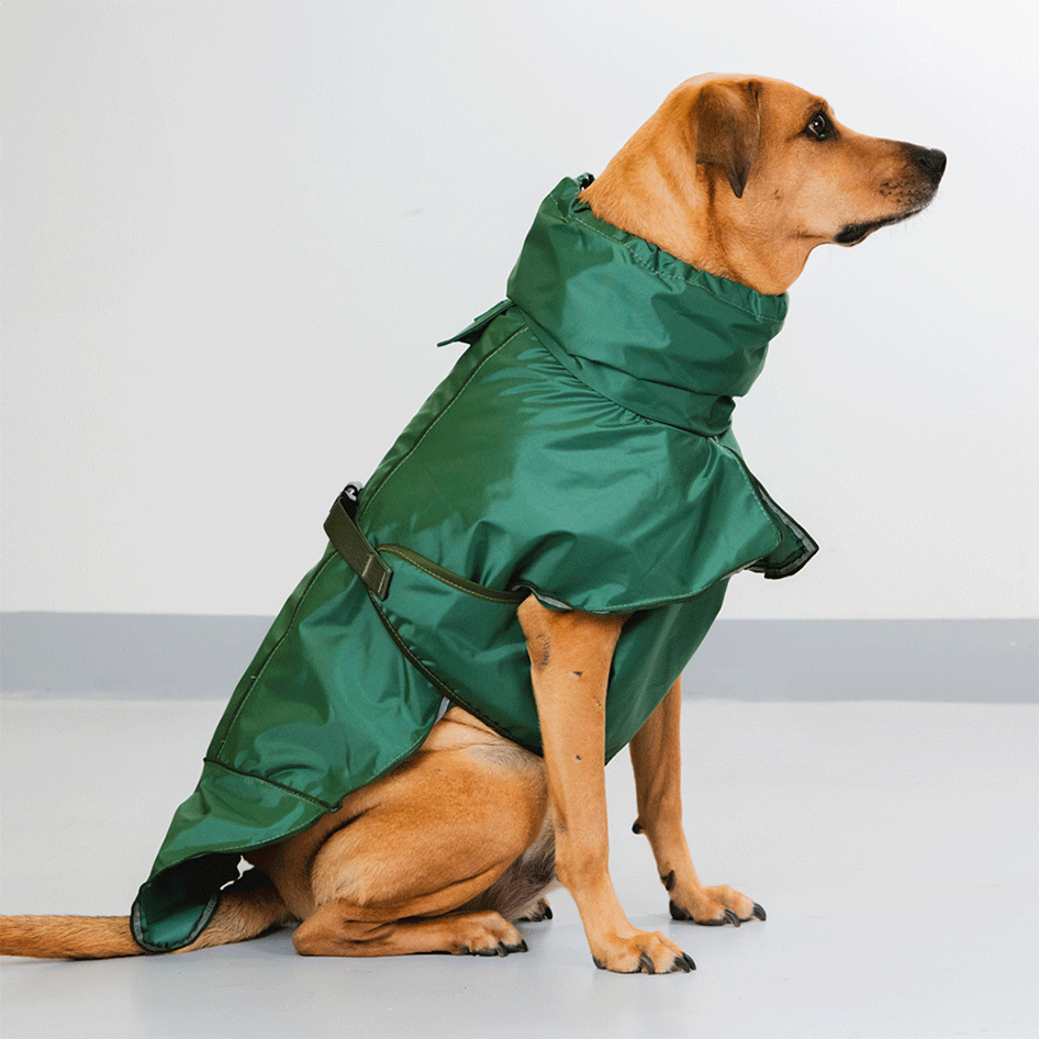 Capa de Chuva Pacco Puppy Oliva para Cães - Tam. GG