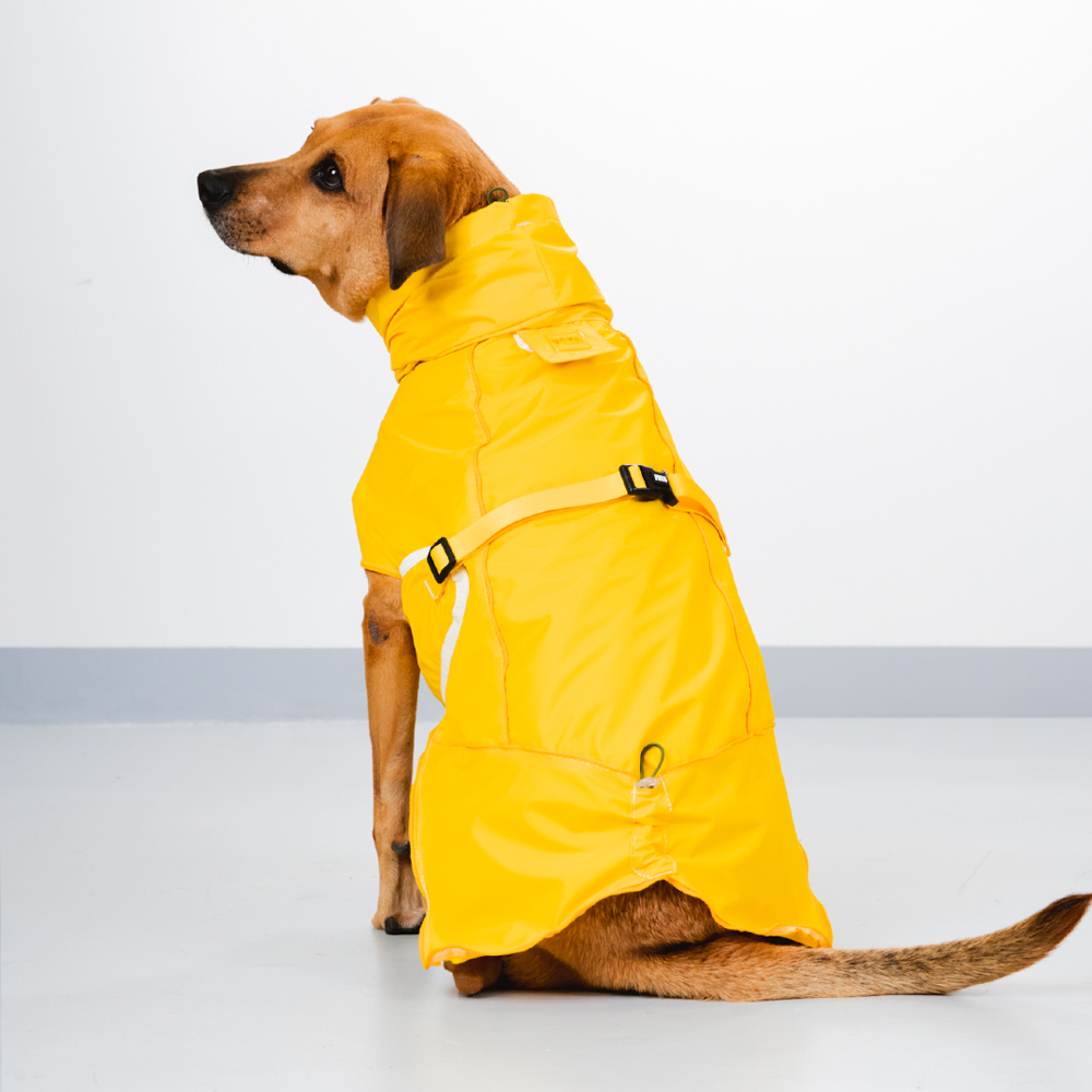 Capa de Chuva Pacco Puppy Aqua Amarelo para Cães - Tam. EXG