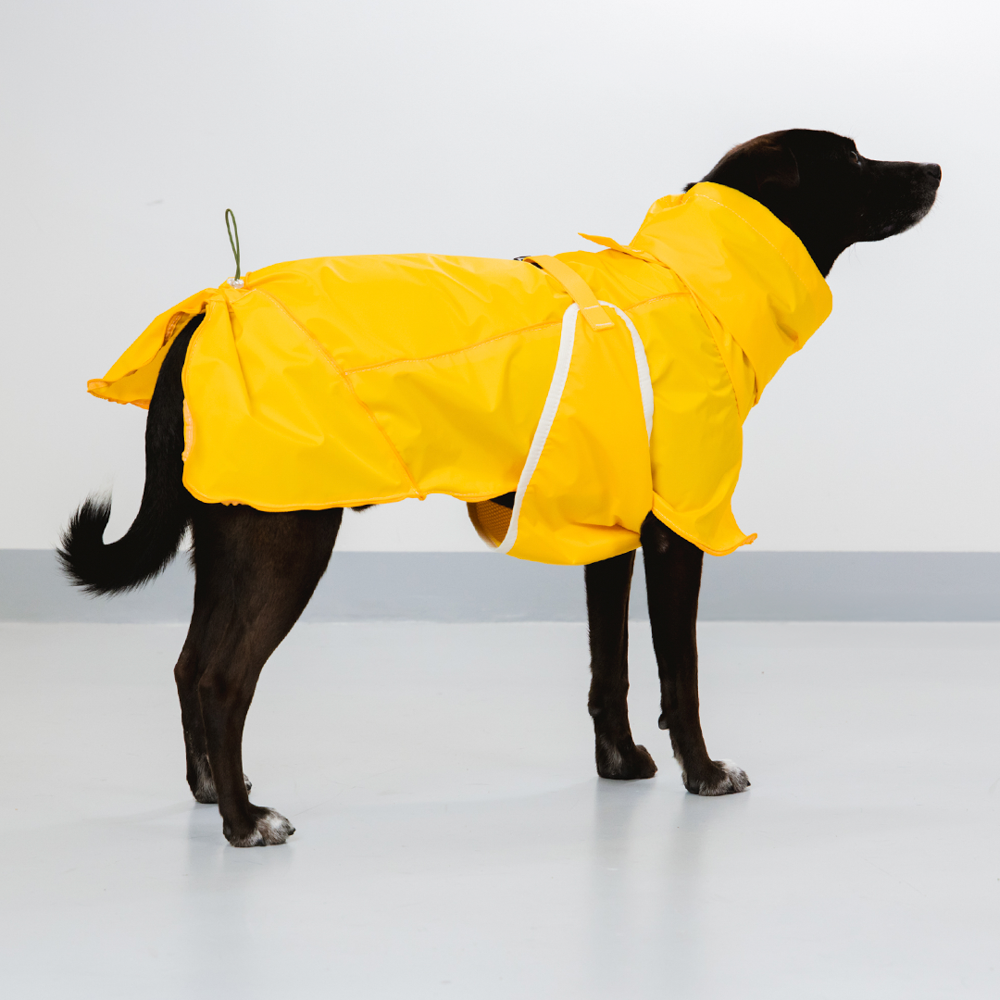 Capa de Chuva Pacco Puppy Aqua Amarelo para Cães - Tam. EXG