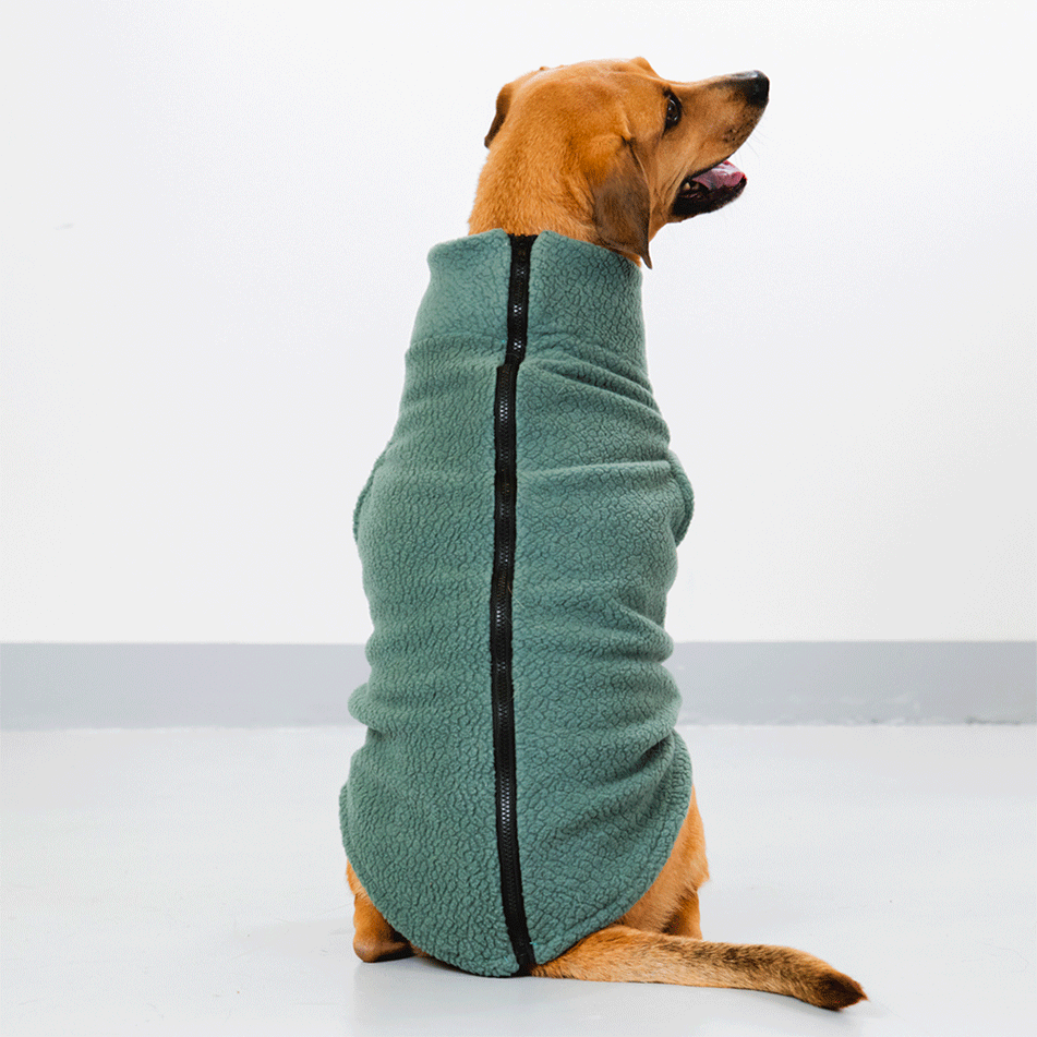 Colete Pacco Puppy Carneirinho Zip Verde Salvia para Cães - Tam. EXG