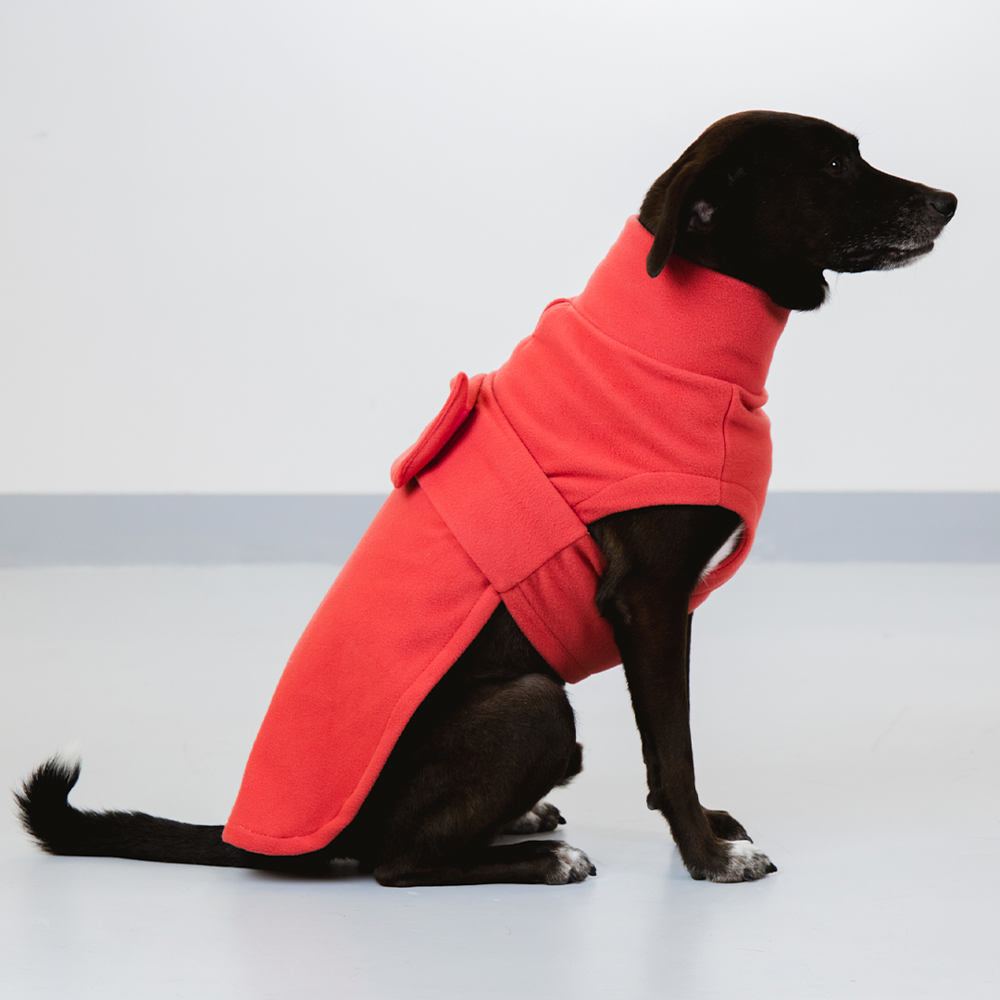 Blusa Pacco Puppy Fleece Rosado para Cães - Tam. P