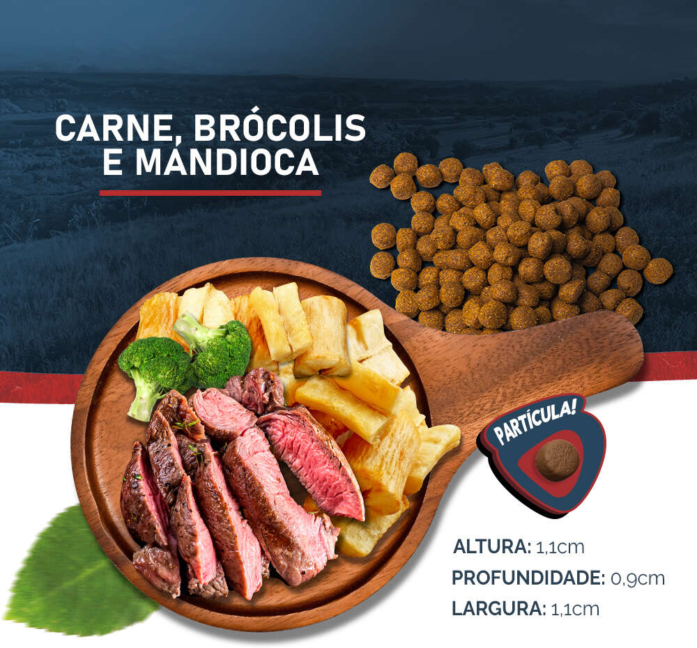Ração Snow Dog Carne com Brócolis para Cães Adultos - 20Kg