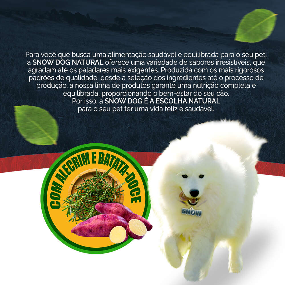 Ração Snow Dog Carne com Brócolis para Cães Adultos - 20Kg
