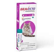 Antipulgas Bravecto Transdermal 500 mg para Gatos de 6,25 a 12,5Kg - 1 Pipeta