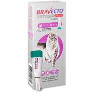 Antipulgas Bravecto Transdermal Plus para Gatos de 6,25 a 12,5Kg - 1 Pipeta