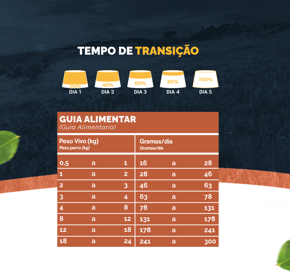 Ração Seca Snow Dog Gourmet Cordeiro com Hortelã para Cães Adultos - 15Kg