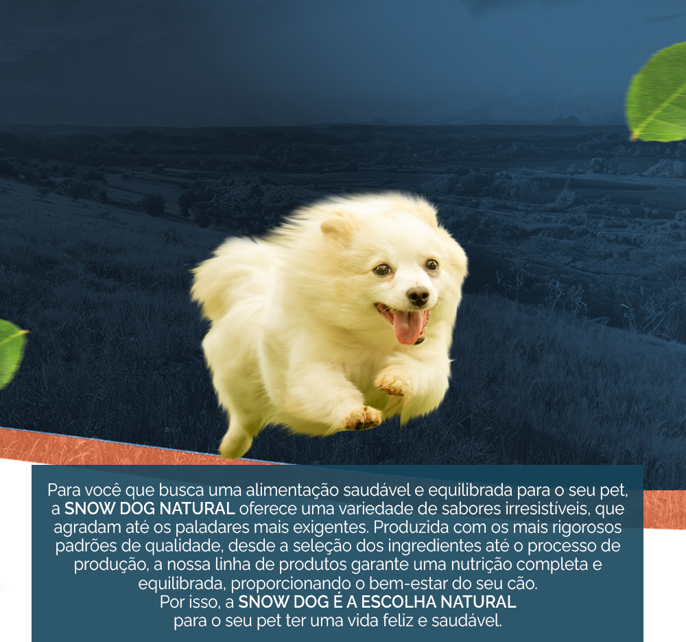 Ração Seca Snow Dog Gourmet Cordeiro com Hortelã para Cães Adultos - 15Kg