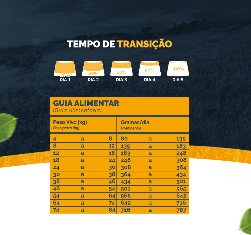 Ração Seca Snow Dog Frango com Chips de Batata Doce para Cães Adultos - 20Kg