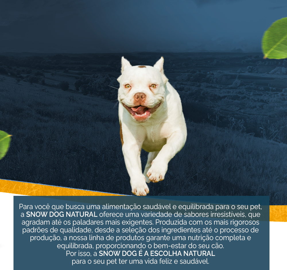 Ração Seca Snow Dog Frango com Chips de Batata Doce para Cães Adultos - 20Kg