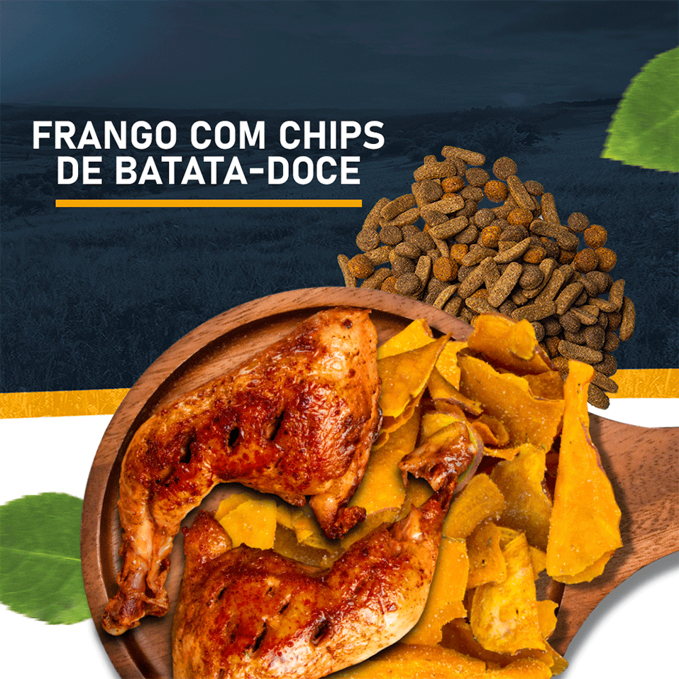 Ração Seca Snow Dog Frango com Chips de Batata Doce para Cães Adultos - 20Kg
