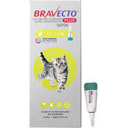 Antipulgas Bravecto Transdermal Plus para Gatos de 1,2 a 2,8Kg - 2 Caixas (2 Pipetas)