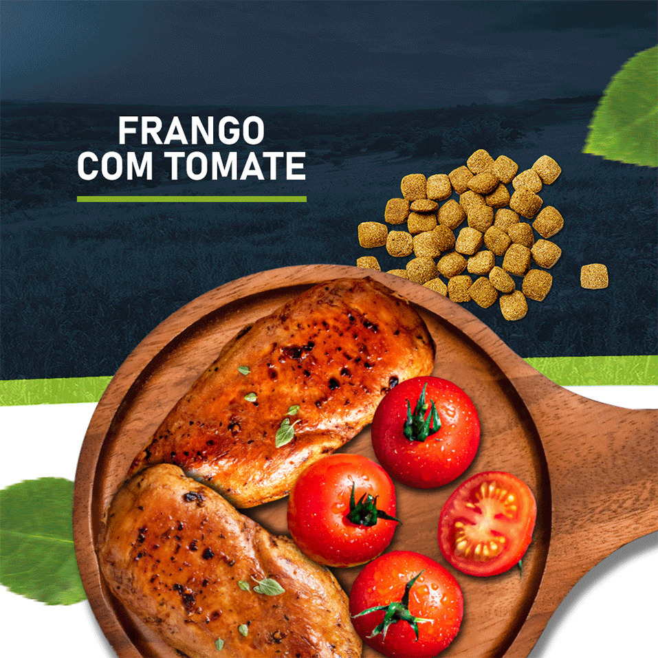 Ração Seca Snow Dog Frango com Tomate para Cães Adultos - 20Kg