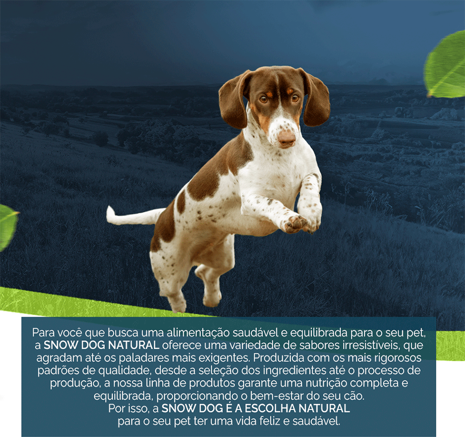 Ração Seca Snow Dog Frango com Tomate para Cães Adultos - 20Kg