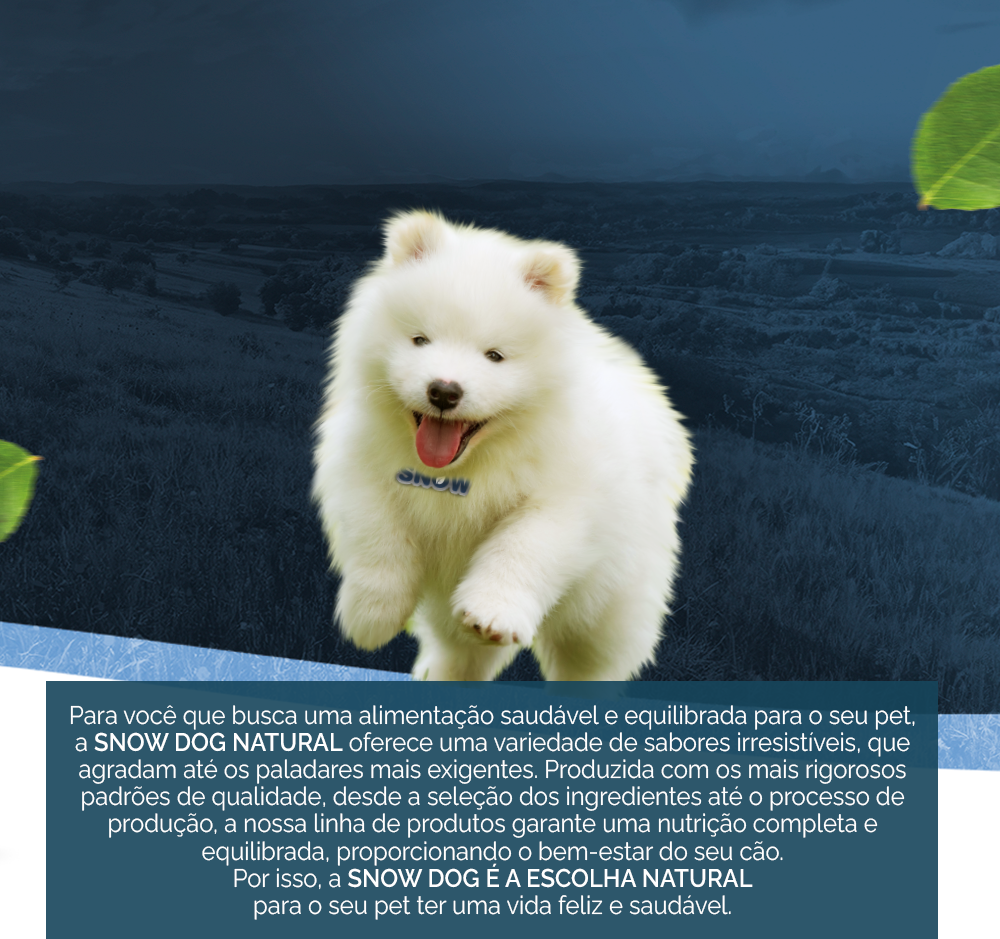 Ração Seca Snow Dog Maçã e Leite para Cães Filhotes - 3Kg