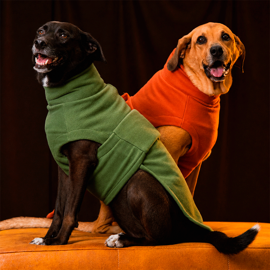 Blusa Pacco Puppy Fleece Verde Musgo para Cães - Tam. GG